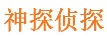 岭东侦探公司